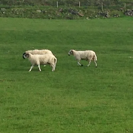 Foleys Cottages * Inch (Kerry)